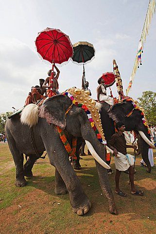 Onam Thiruvonam 2023 Celebration: Embracing the Spirit of Onam 10 adoned elephants kerela