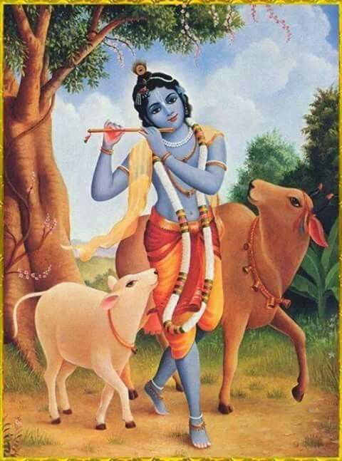 Krsna n Gaumata