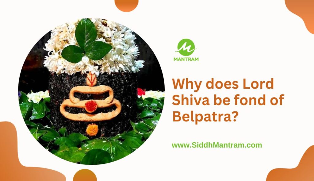 Significance of Bel Leaves Why does Lord Shiva be fond of Belpatra 1
