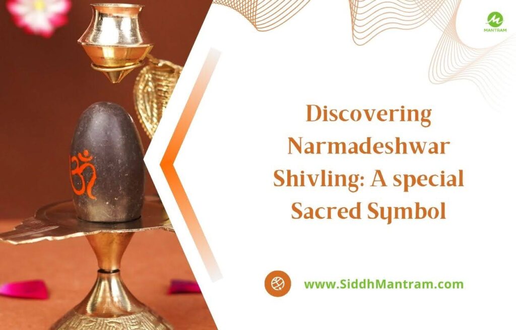 Discovering Narmadeshwar Shivling A special Sacred Symbol