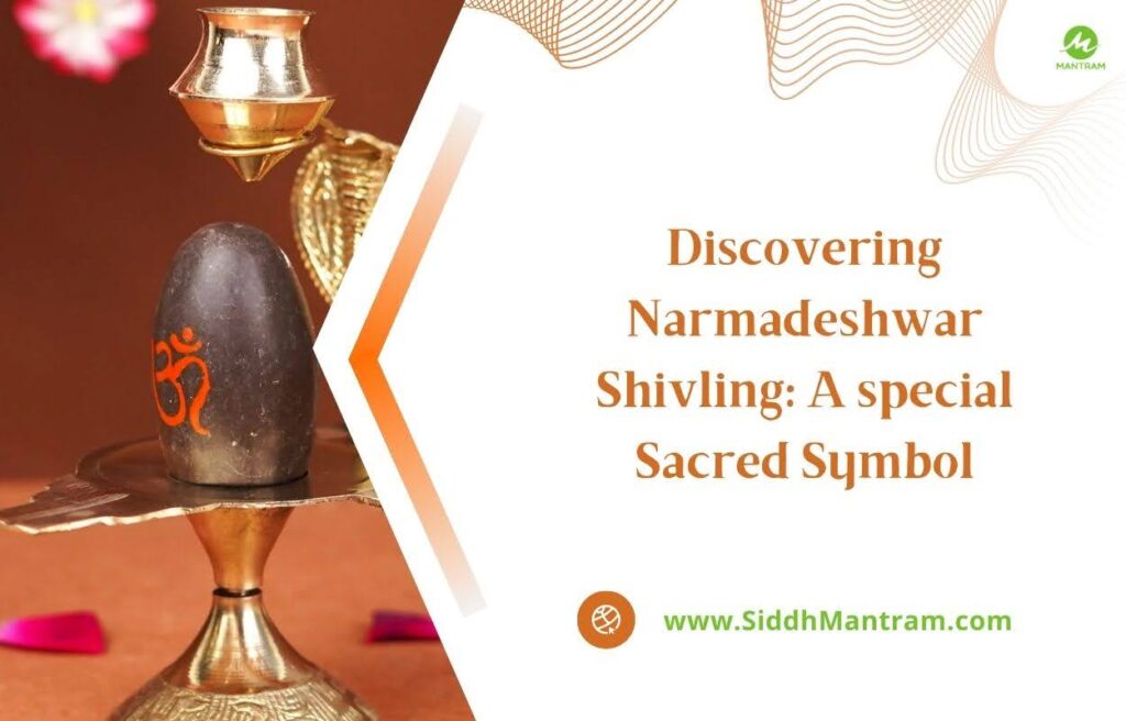 Discovering Narmadeshwar Shivling A special Sacred Symbol